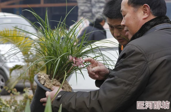 大富翁9新手玩家必看：初期发展全攻略，助你快速上手与致富秘籍