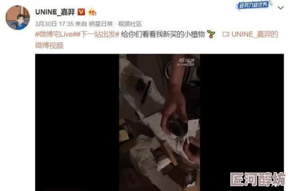 国产人碰人摸人爱免费视频引发热议网友纷纷讨论其内容与影响力成为社交平台热门话题