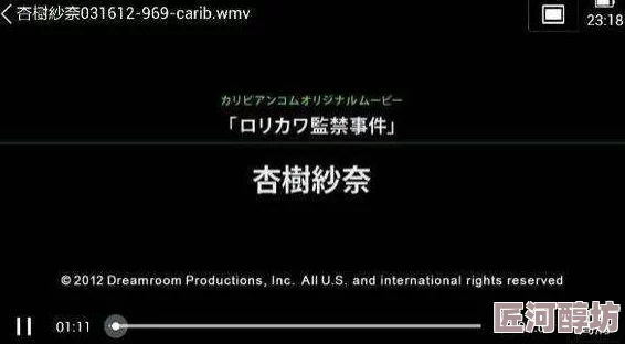 黄色毛片视频网站据传服务器位于某不知名小岛运营团队成员皆为程序员出身