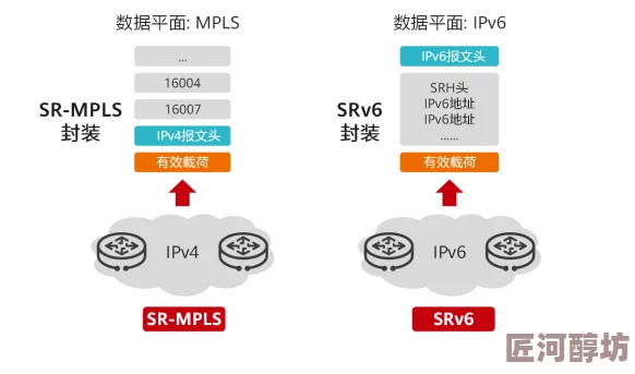 台湾s8sp加密路线和普通路线持续优化节点提升稳定性与速度