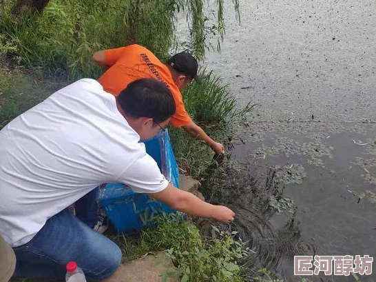 惊喜揭秘！怪物猎人OL中雄火龙武器排行，哪款才是你的最佳狩猎伴侣？