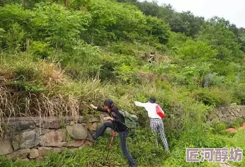 雯雯山游客偷摘野果被村民索赔五百元