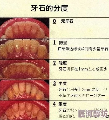 涩涩网站因其内容的刺激性和视觉冲击力而备受追捧