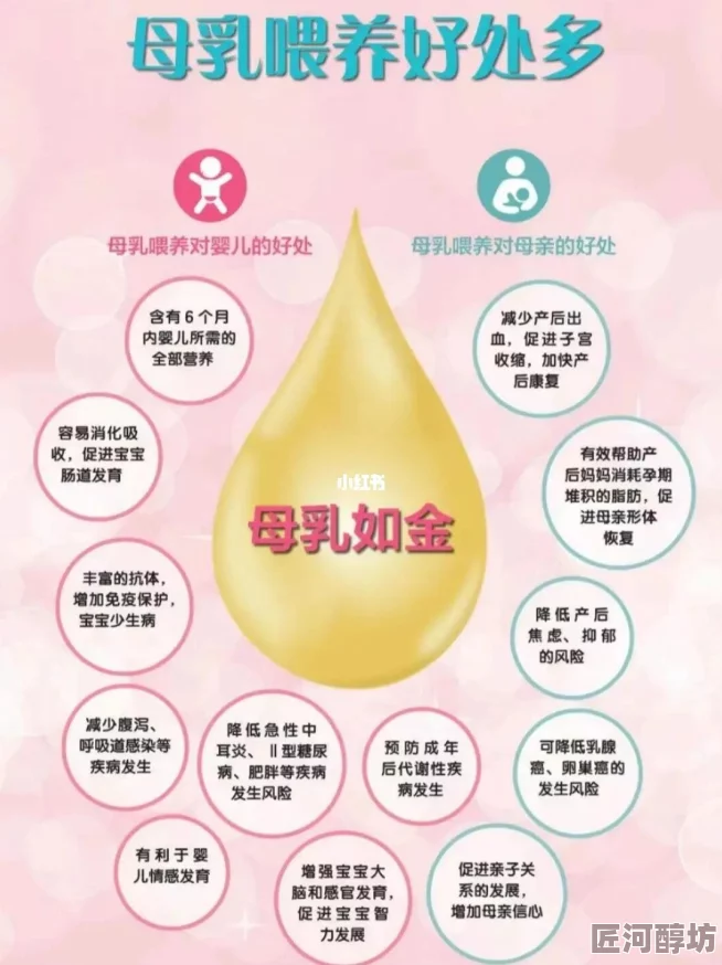 日韩孕妇哺乳期奶水为什么广受青睐因其注重天然成分和科学的营养配比