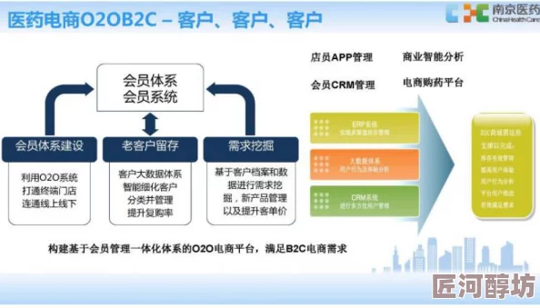 深入探索：燕云十六声中的药品制作流程及使用方法详解